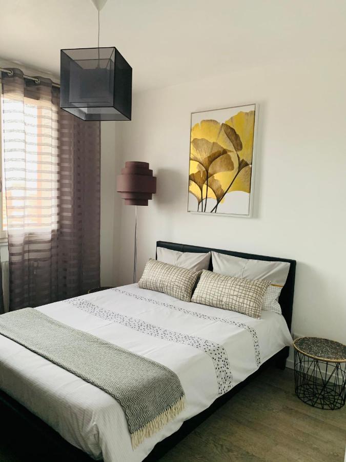 St Louis Appartement 罗阿纳 外观 照片